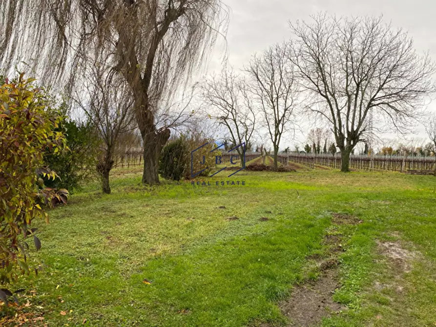 Immagine 30 di Appartamento in vendita  in Via Lodovico Ariosto a Codognè