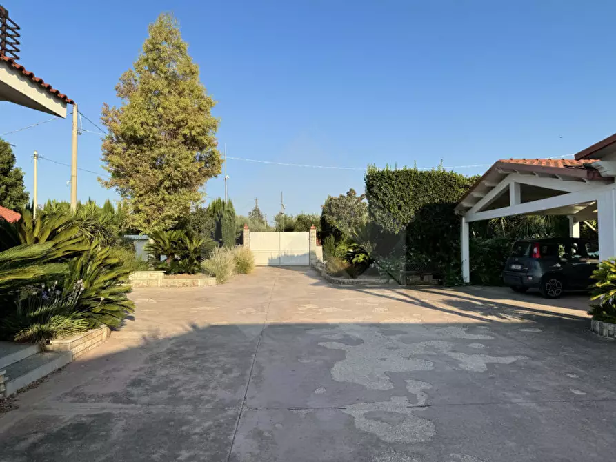 Immagine 5 di Villa in vendita  a Andria