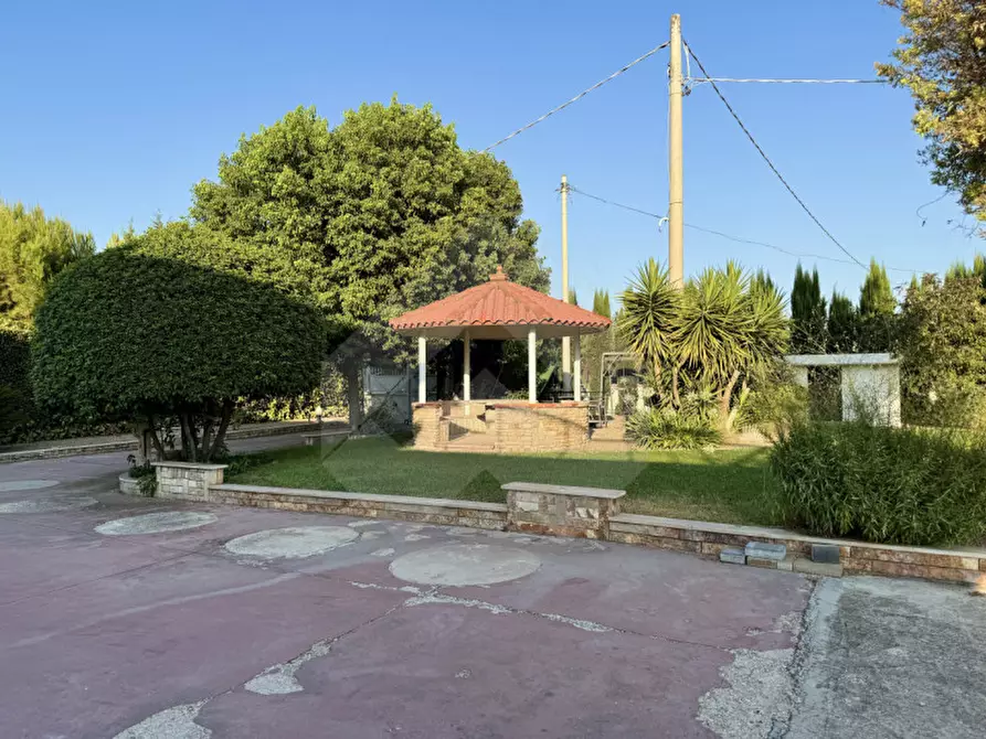 Immagine 7 di Villa in vendita  a Andria