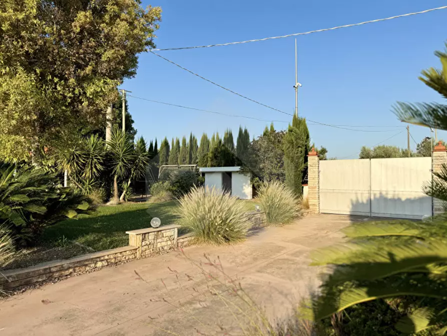 Immagine 8 di Villa in vendita  a Andria