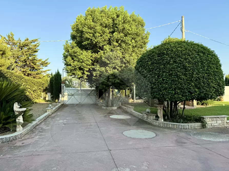Immagine 17 di Villa in vendita  a Andria