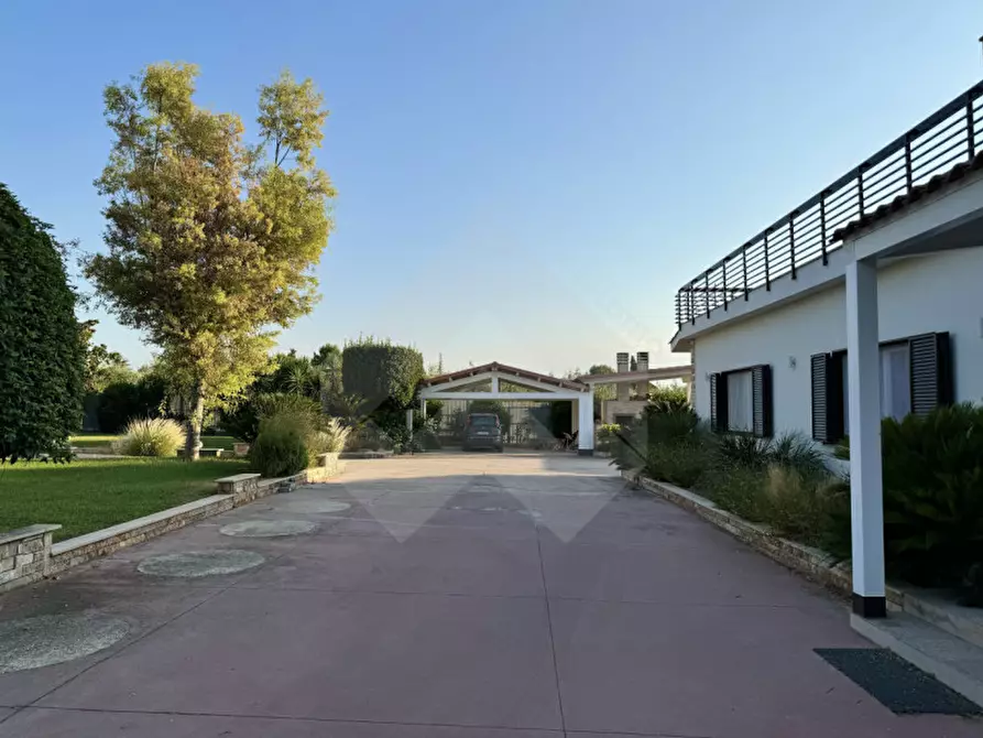 Immagine 18 di Villa in vendita  a Andria