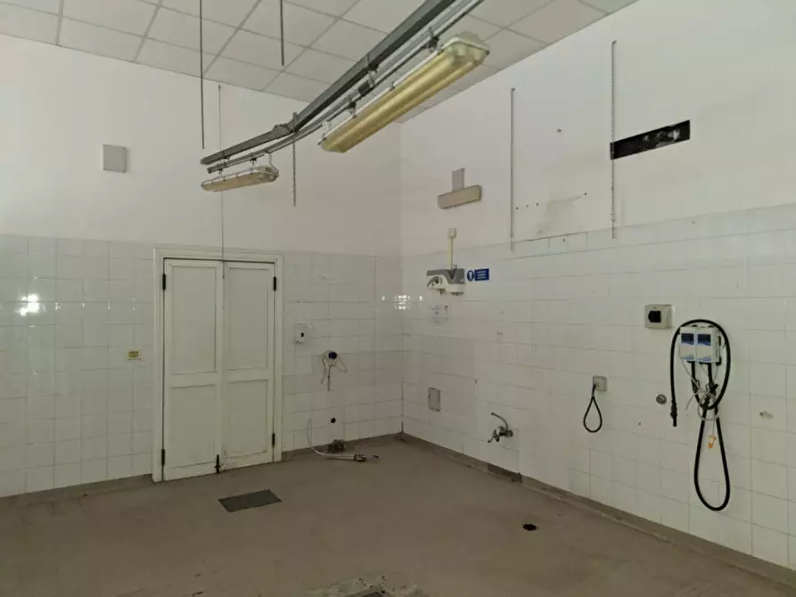 Immagine 11 di Attività commerciale in vendita  in Via Giosuè Carducci, 56010 Ghezzano PI, Italia a San Giuliano Terme