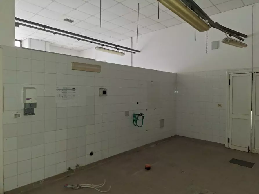 Immagine 12 di Attività commerciale in vendita  in Via Giosuè Carducci, 56010 Ghezzano PI, Italia a San Giuliano Terme
