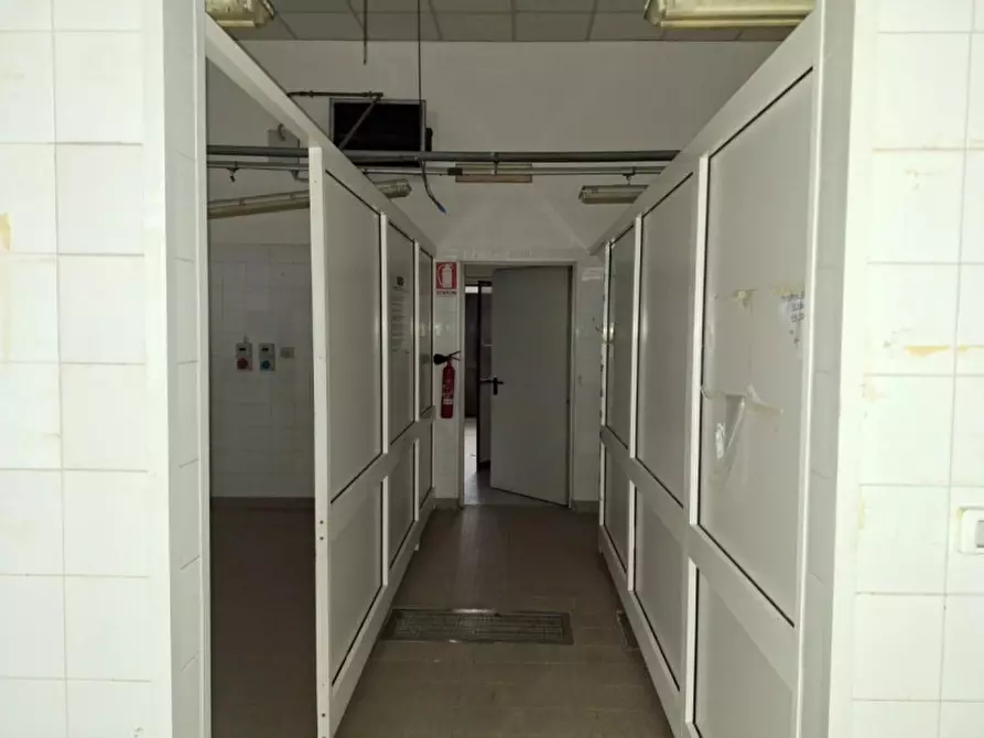 Immagine 14 di Attività commerciale in vendita  in Via Giosuè Carducci, 56010 Ghezzano PI, Italia a San Giuliano Terme