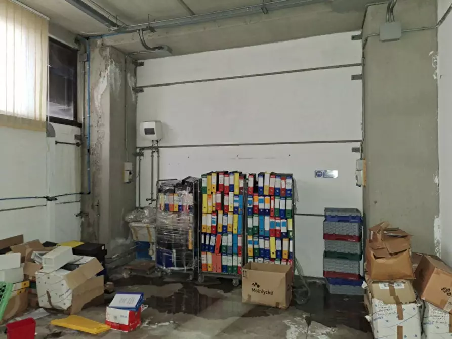 Immagine 6 di Capannone industriale in vendita  in Via Giosuè Carducci, 56010 Ghezzano PI, Italia a San Giuliano Terme