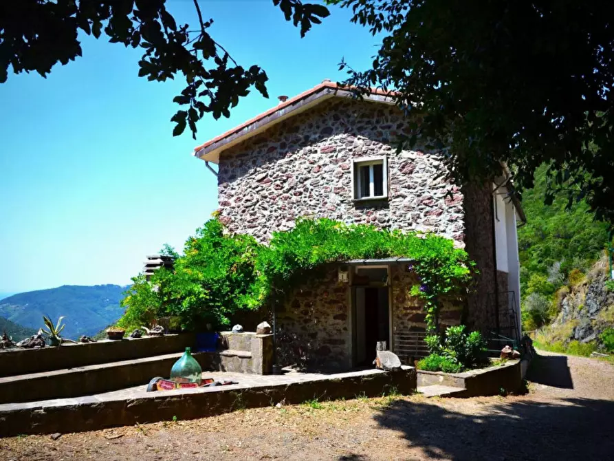 Immagine 5 di Terreno in vendita  in Via per Case Gromolo, Città Metropolitana di Genova, Italia a Casarza Ligure