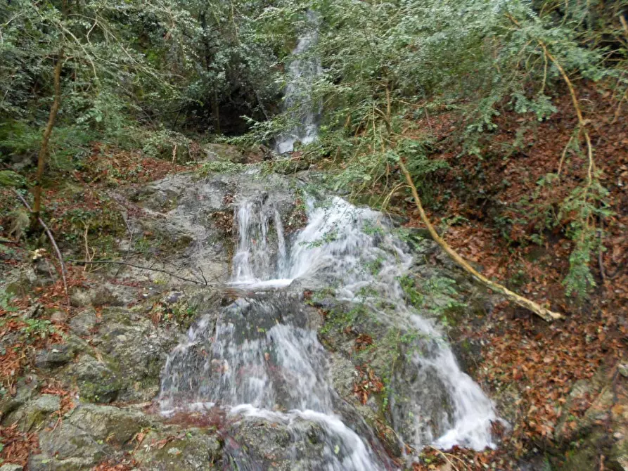 Immagine 15 di Terreno in vendita  in Via per Case Gromolo, Città Metropolitana di Genova, Italia a Casarza Ligure