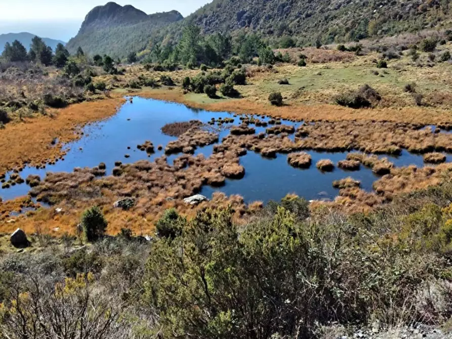 Immagine 17 di Terreno in vendita  in Via per Case Gromolo, Città Metropolitana di Genova, Italia a Casarza Ligure
