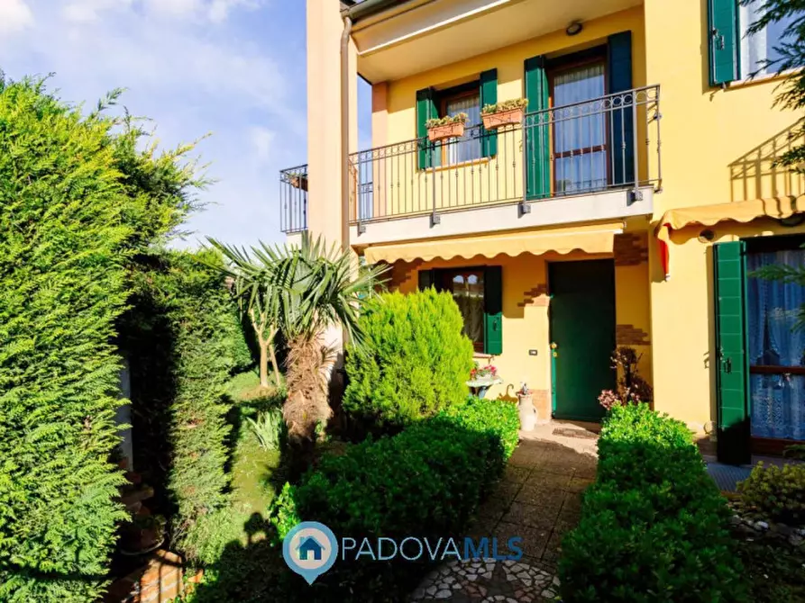 Immagine 3 di Casa trifamiliare in vendita  in Via Pietra a Agna