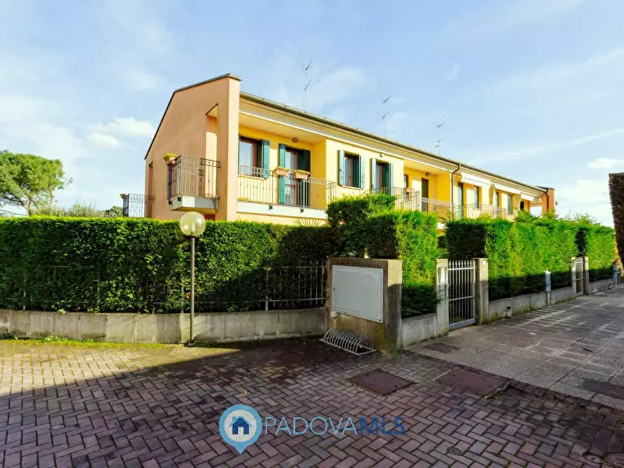 Immagine 5 di Casa trifamiliare in vendita  in Via Pietra a Agna