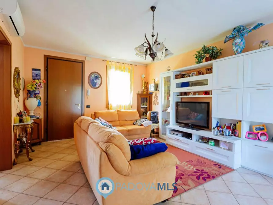 Immagine 8 di Casa trifamiliare in vendita  in Via Pietra a Agna