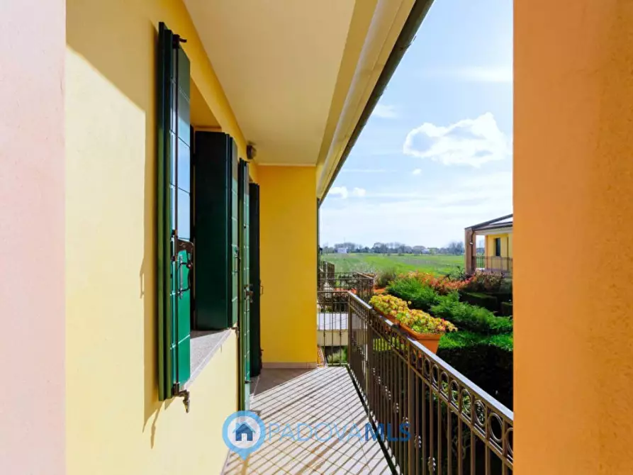 Immagine 18 di Casa trifamiliare in vendita  in Via Pietra a Agna