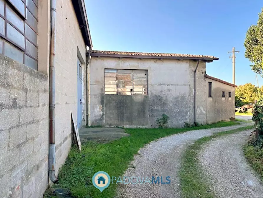 Immagine 22 di Casa bifamiliare in vendita  in Via Rudella a Vigonza