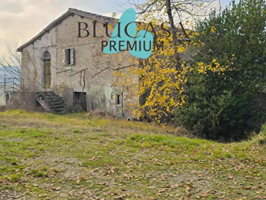 Immagine 2 di Casa indipendente in vendita  in Strada Meldola - Teodorano a Meldola