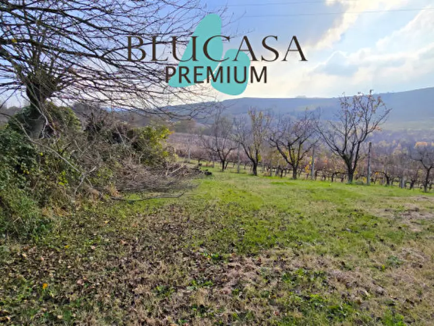 Immagine 11 di Casa indipendente in vendita  in Strada Meldola - Teodorano a Meldola