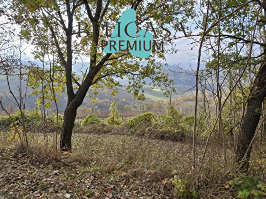 Immagine 12 di Casa indipendente in vendita  in Strada Meldola - Teodorano a Meldola