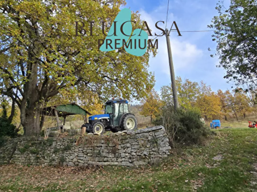 Immagine 13 di Casa indipendente in vendita  in Strada Meldola - Teodorano a Meldola