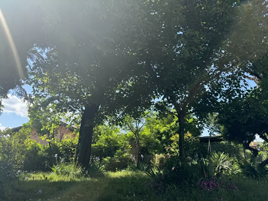 Immagine 25 di Villa in vendita  in AQUILEIA 53 a Turriaco