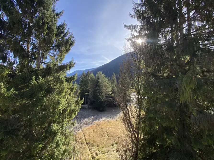 Immagine 19 di Palazzo in vendita  in Via Ligonto,3 a Auronzo Di Cadore