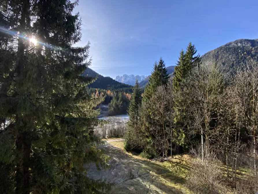 Immagine 20 di Palazzo in vendita  in Via Ligonto,3 a Auronzo Di Cadore