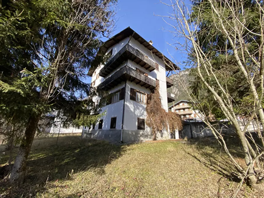 Immagine 29 di Palazzo in vendita  in Via Ligonto,3 a Auronzo Di Cadore