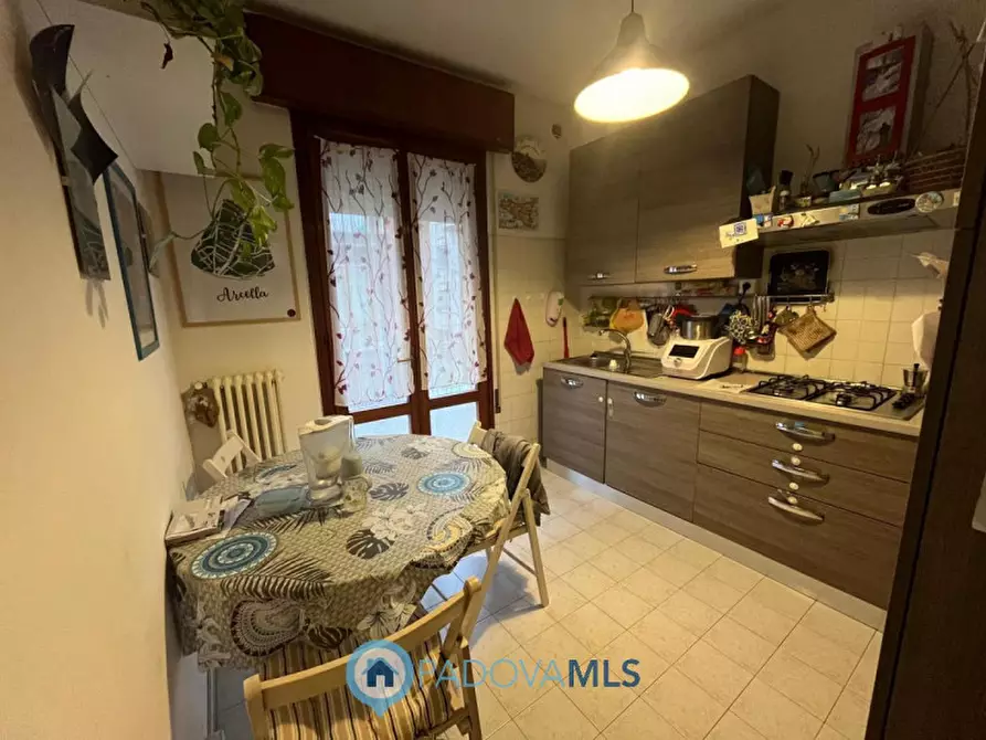 Immagine 6 di Appartamento in vendita  in Via Donato Bramante 1 a Padova