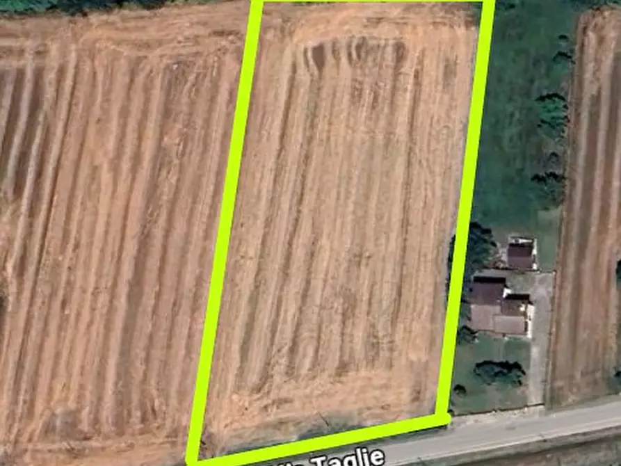 Immagine 1 di Terreno in vendita  in Via Taglie a Megliadino San Vitale