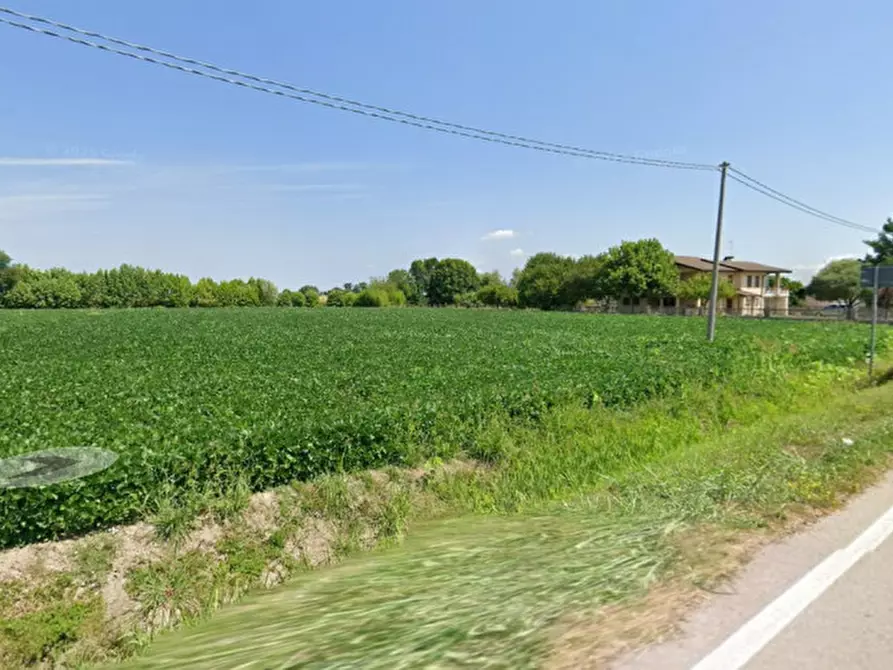 Immagine 2 di Terreno in vendita  in Via Taglie a Megliadino San Vitale