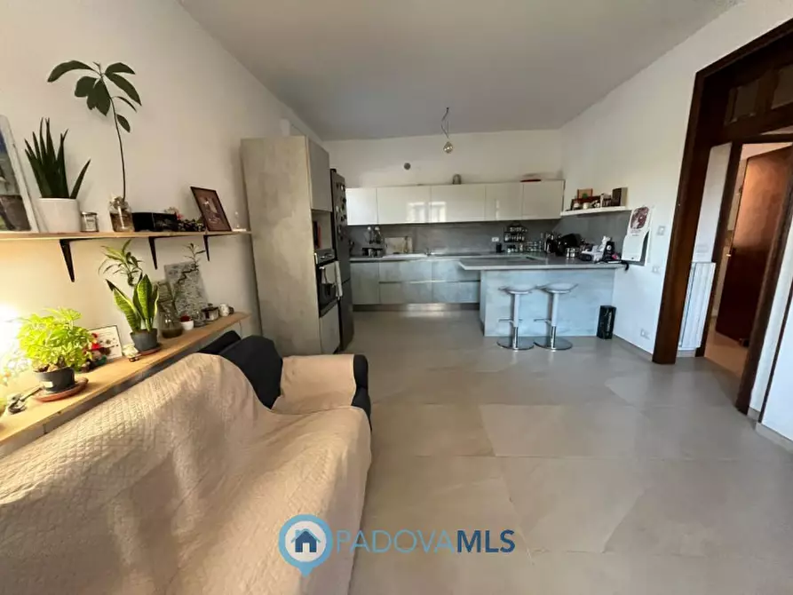 Immagine 4 di Casa bifamiliare in vendita  in Via Ronzon a Albignasego