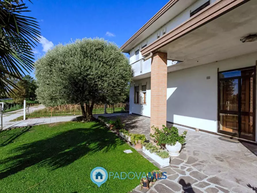 Immagine 24 di Casa indipendente in vendita  in Via Cimitero a Agna