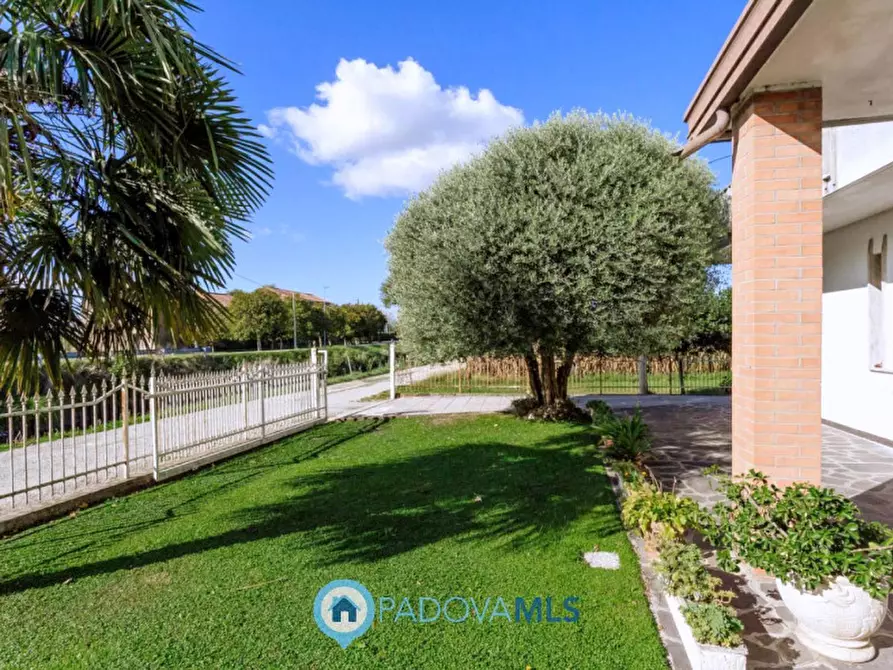 Immagine 25 di Casa indipendente in vendita  in Via Cimitero a Agna