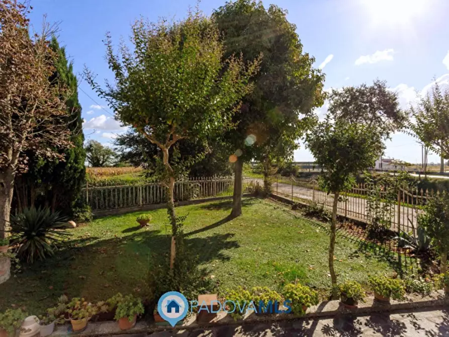 Immagine 26 di Casa indipendente in vendita  in Via Cimitero a Agna