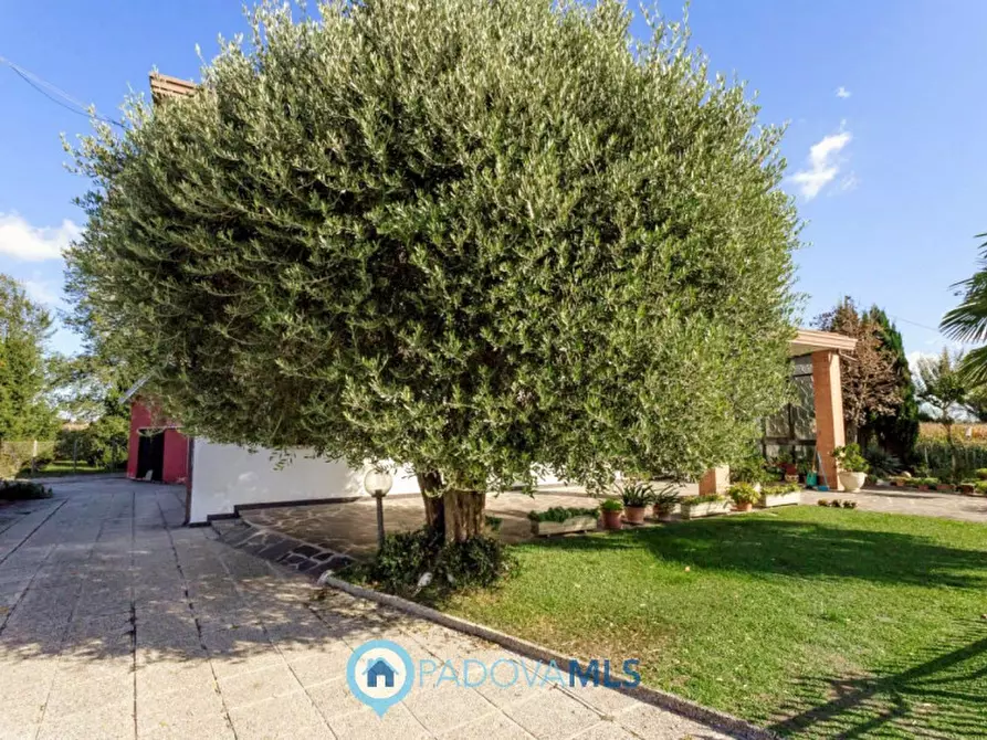 Immagine 27 di Casa indipendente in vendita  in Via Cimitero a Agna