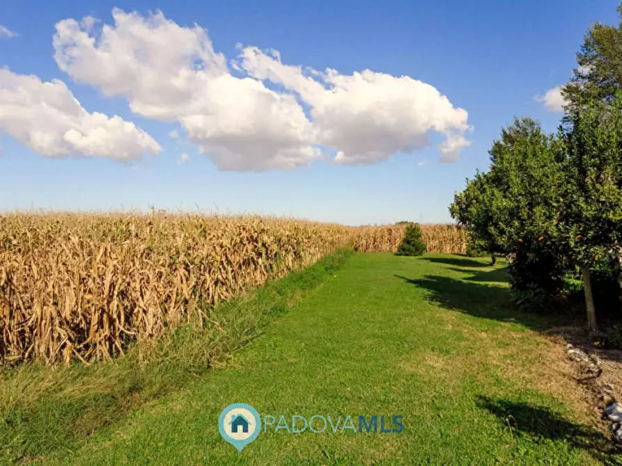 Immagine 29 di Casa indipendente in vendita  in Via Cimitero a Agna