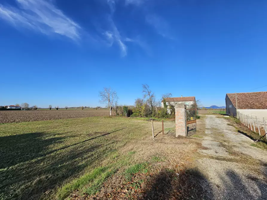 Immagine 2 di Terreno in vendita  in VIA 28 APRILE a Vescovana