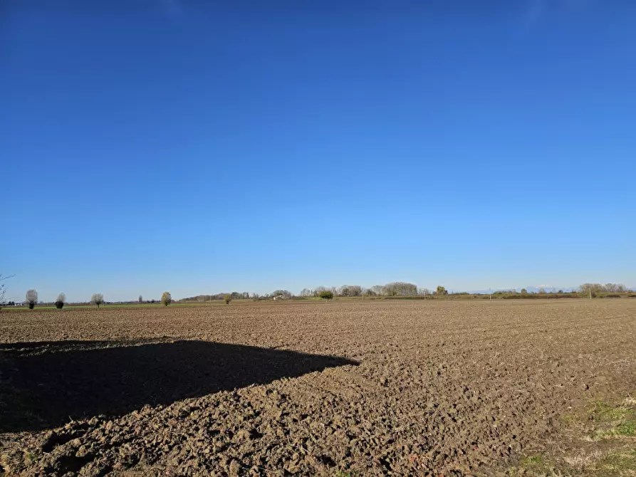 Immagine 4 di Terreno in vendita  in VIA 28 APRILE a Vescovana