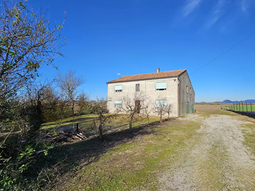 Immagine 5 di Terreno in vendita  in VIA 28 APRILE a Vescovana