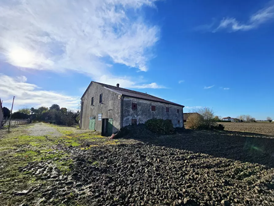 Immagine 6 di Terreno in vendita  in VIA 28 APRILE a Vescovana
