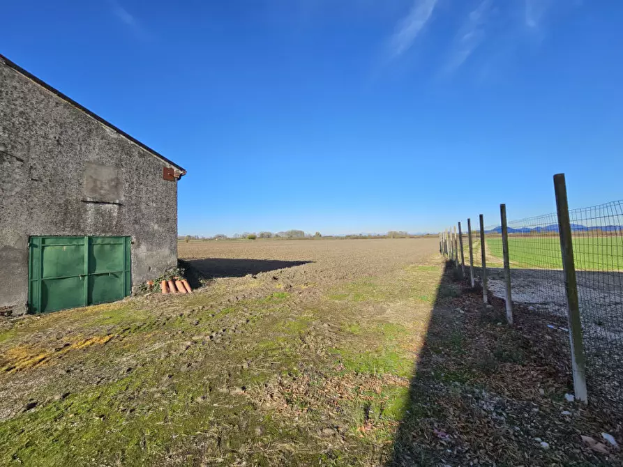 Immagine 7 di Terreno in vendita  in VIA 28 APRILE a Vescovana