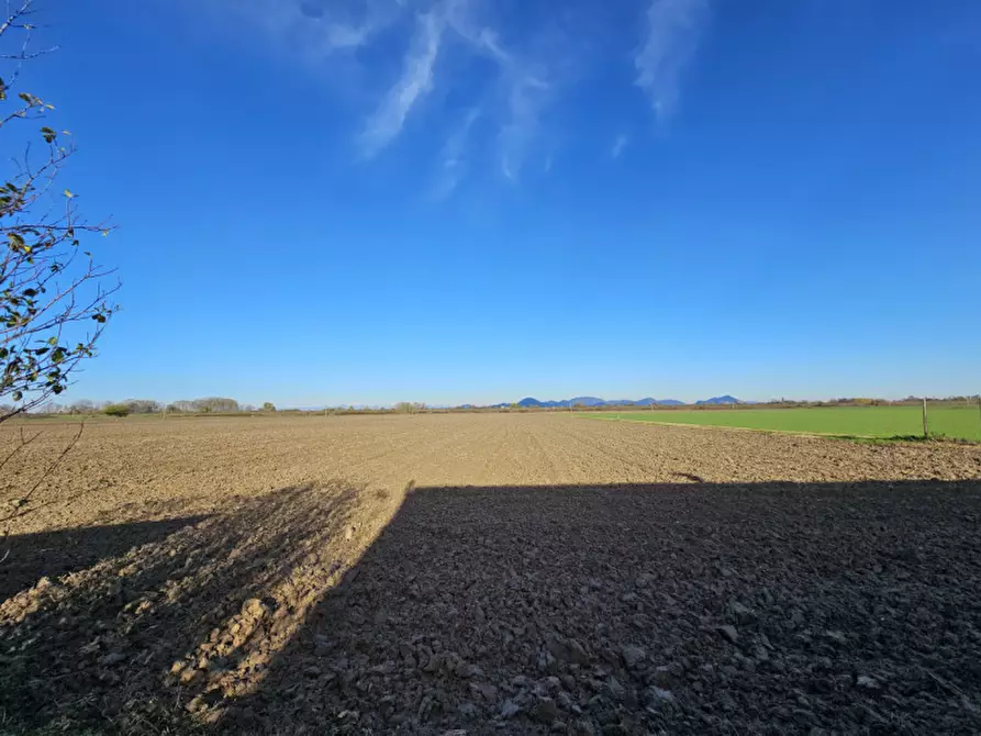 Immagine 15 di Terreno in vendita  in VIA 28 APRILE a Vescovana