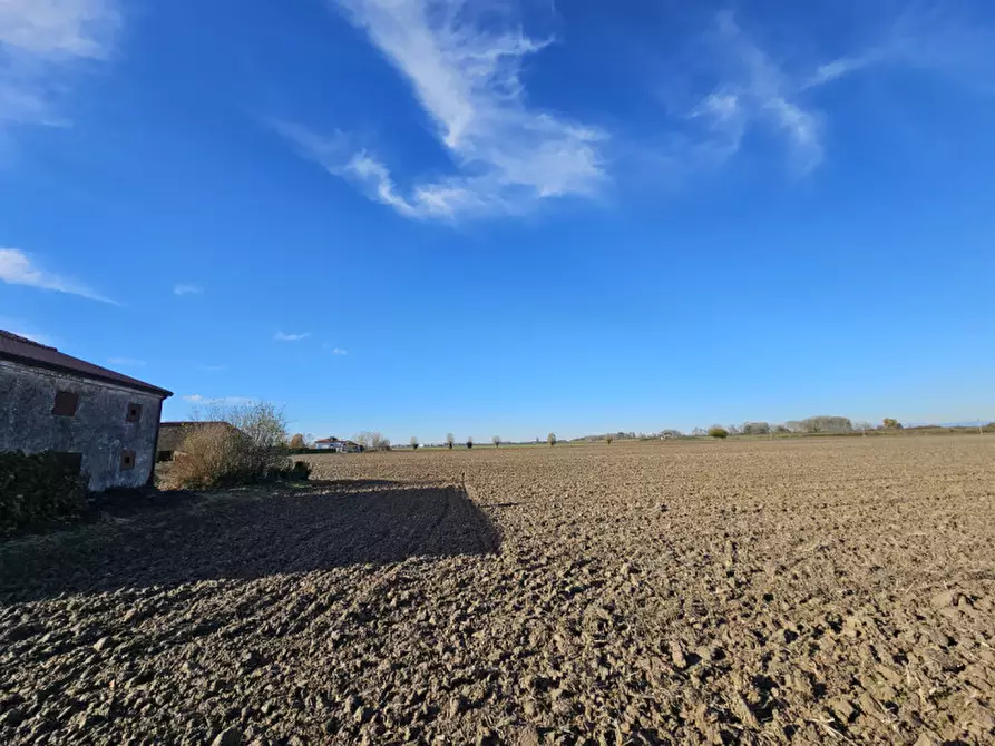 Immagine 16 di Terreno in vendita  in VIA 28 APRILE a Vescovana