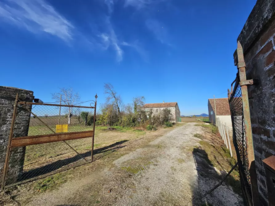Immagine 17 di Terreno in vendita  in VIA 28 APRILE a Vescovana