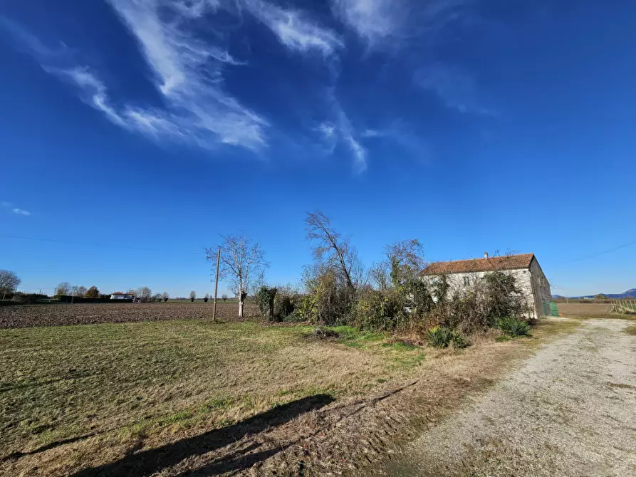 Immagine 18 di Terreno in vendita  in VIA 28 APRILE a Vescovana