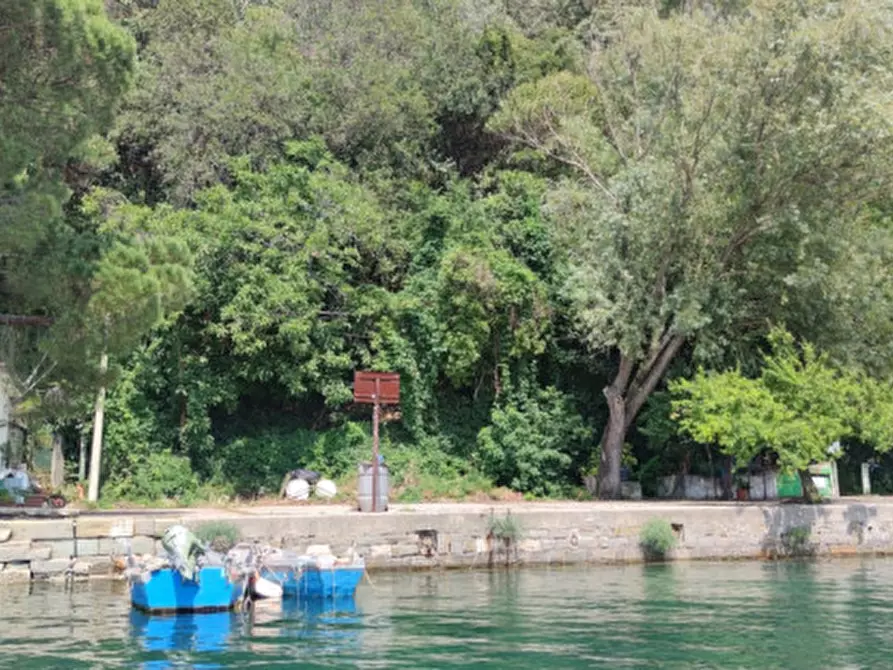Immagine 1 di Terreno in vendita  in santa croce mare a Trieste