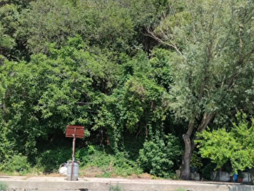 Immagine 2 di Terreno in vendita  in santa croce mare a Trieste