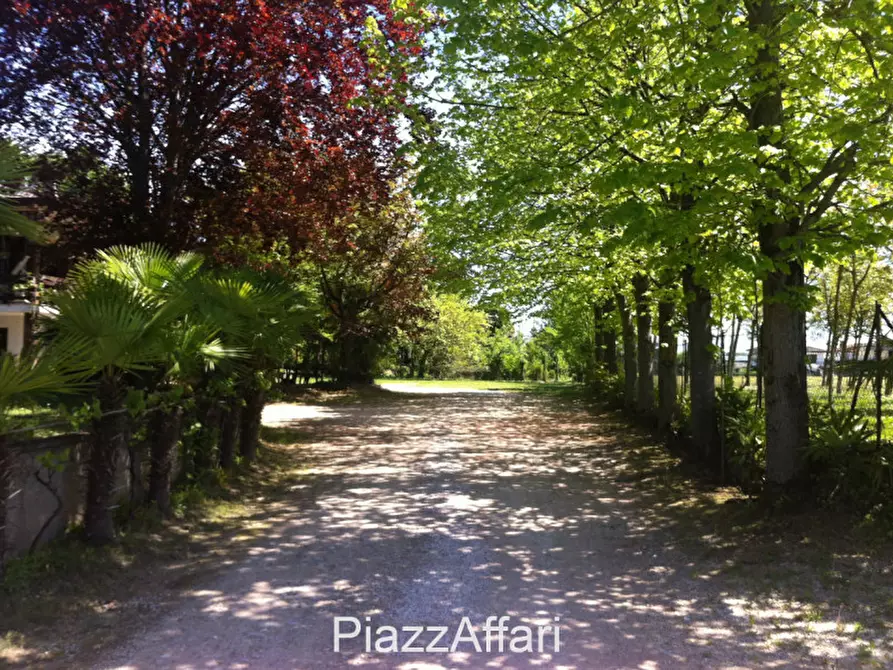 Immagine 7 di Villa in vendita  in Sant'Angelo di Piove di Sacco Via Roma a Sant'angelo Di Piove Di Sacco