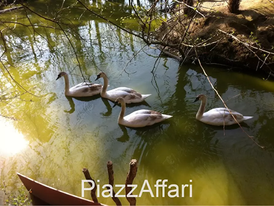 Immagine 13 di Villa in vendita  in Sant'Angelo di Piove di Sacco Via Roma a Sant'angelo Di Piove Di Sacco