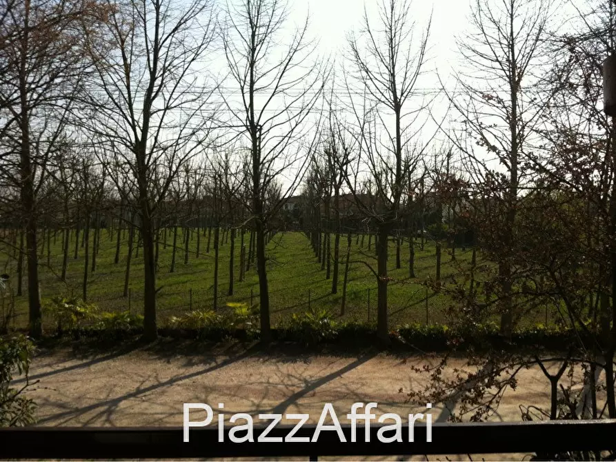 Immagine 17 di Villa in vendita  in Sant'Angelo di Piove di Sacco Via Roma a Sant'angelo Di Piove Di Sacco