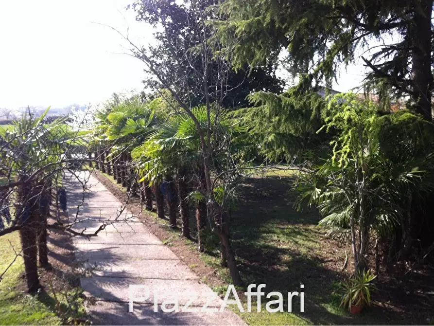 Immagine 18 di Villa in vendita  in Sant'Angelo di Piove di Sacco Via Roma a Sant'angelo Di Piove Di Sacco